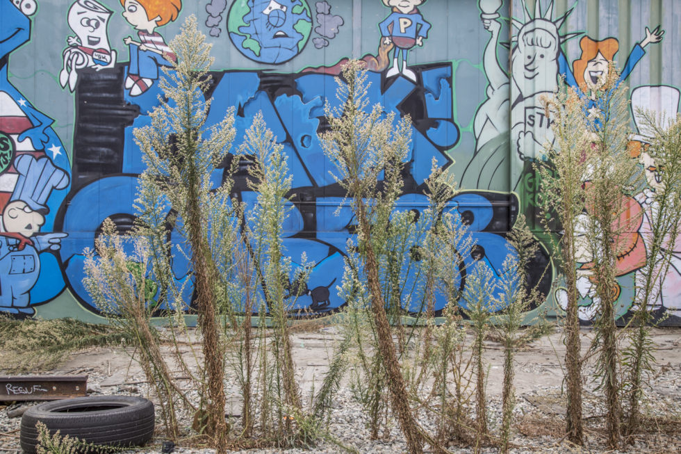 Curtis Stage What’s Your Function? 2016 Curtis Stage