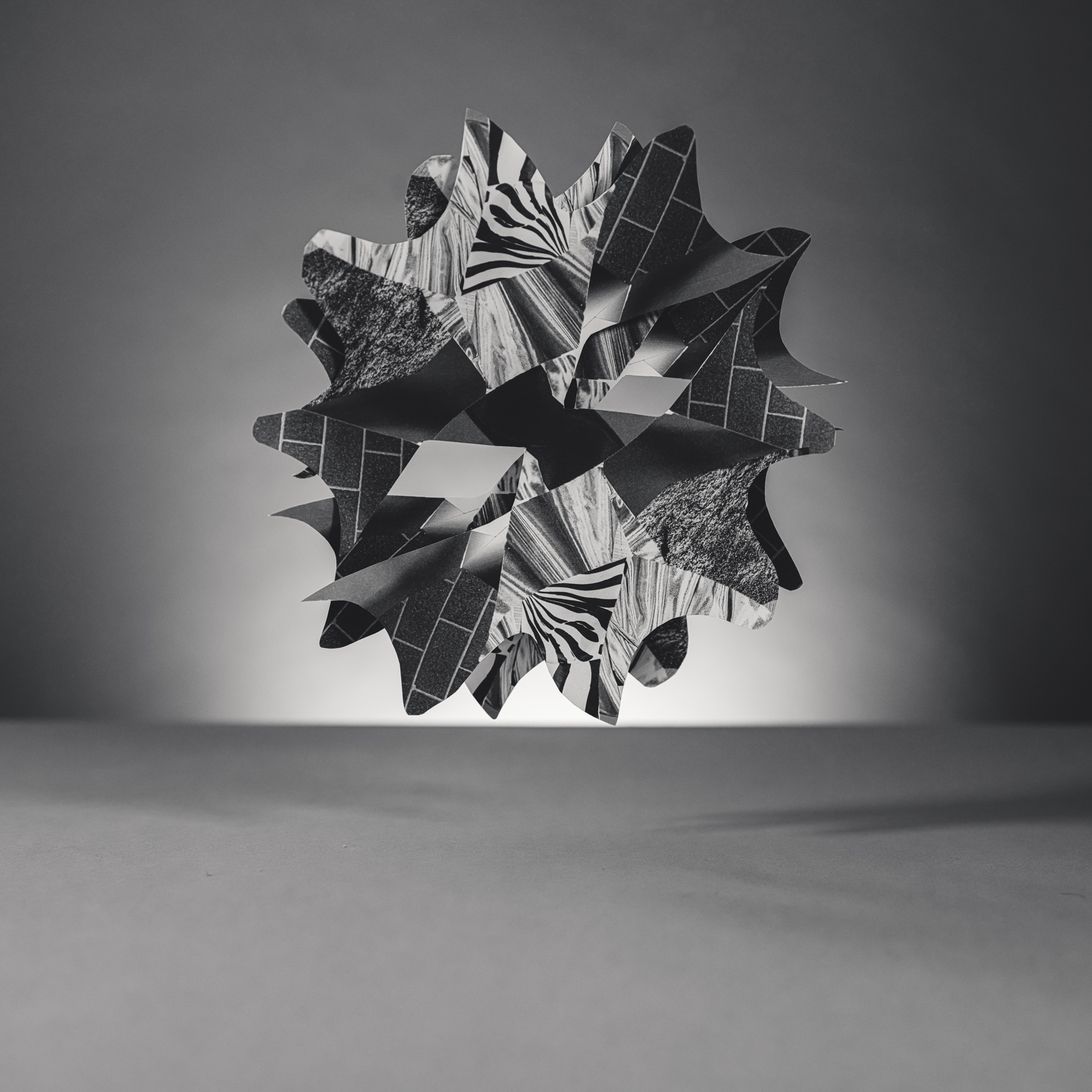 Still-life black and white photography
