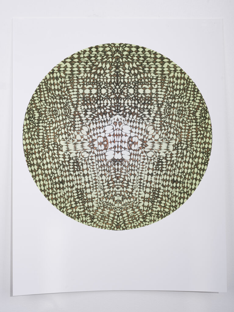 intricate ink drawing with green