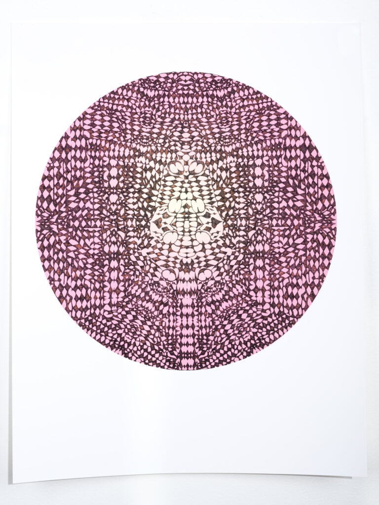 intricate ink drawing with pink